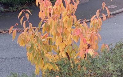 Don’t conform for the sake of it!