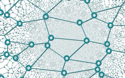 2023 – The year of the Network.