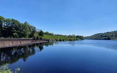 Make the most of your potential